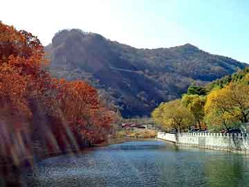 新澳天天开奖资料大全旅游团，穿越小说有哪些